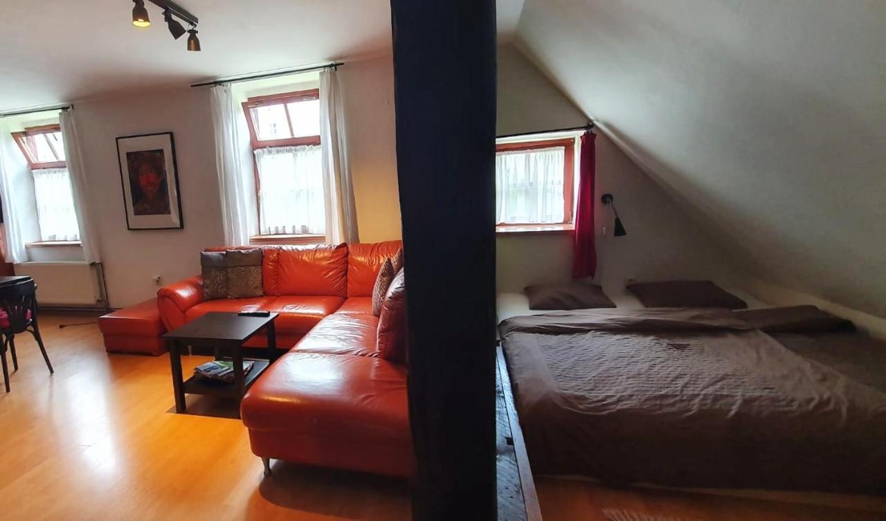 Apartma V Rodnem Dome Vincenze Priessnitze V Centru Lazni Єсеник Екстер'єр фото